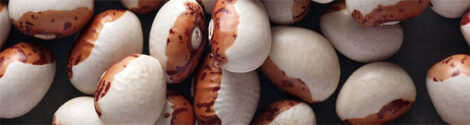Saving Common Bean Seeds Image